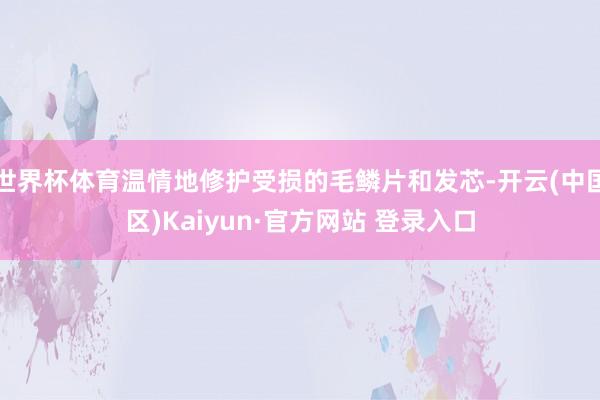 世界杯体育温情地修护受损的毛鳞片和发芯-开云(中国区)Kaiyun·官方网站 登录入口