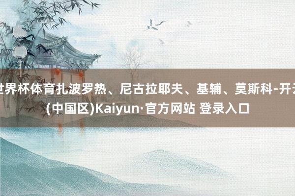 世界杯体育扎波罗热、尼古拉耶夫、基辅、莫斯科-开云(中国区)Kaiyun·官方网站 登录入口